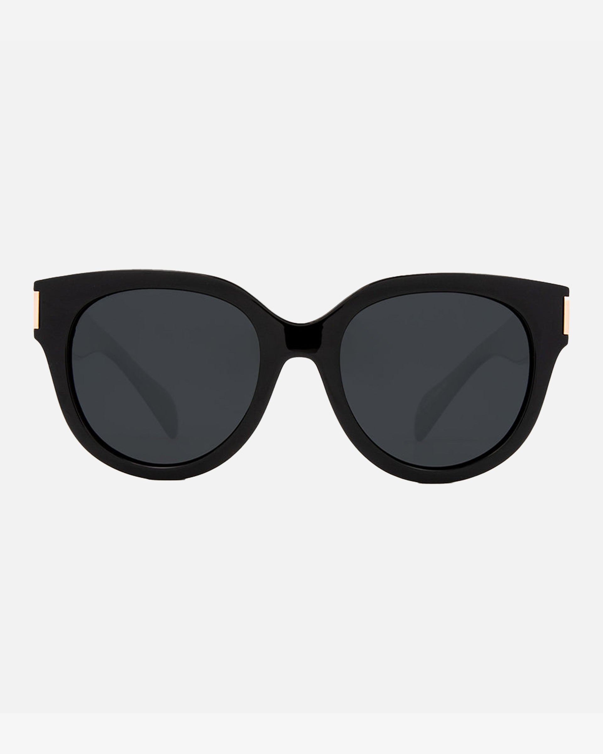 Carve Eyewear Vivian Sunglasses - Gloss Black Smoke - Polarized