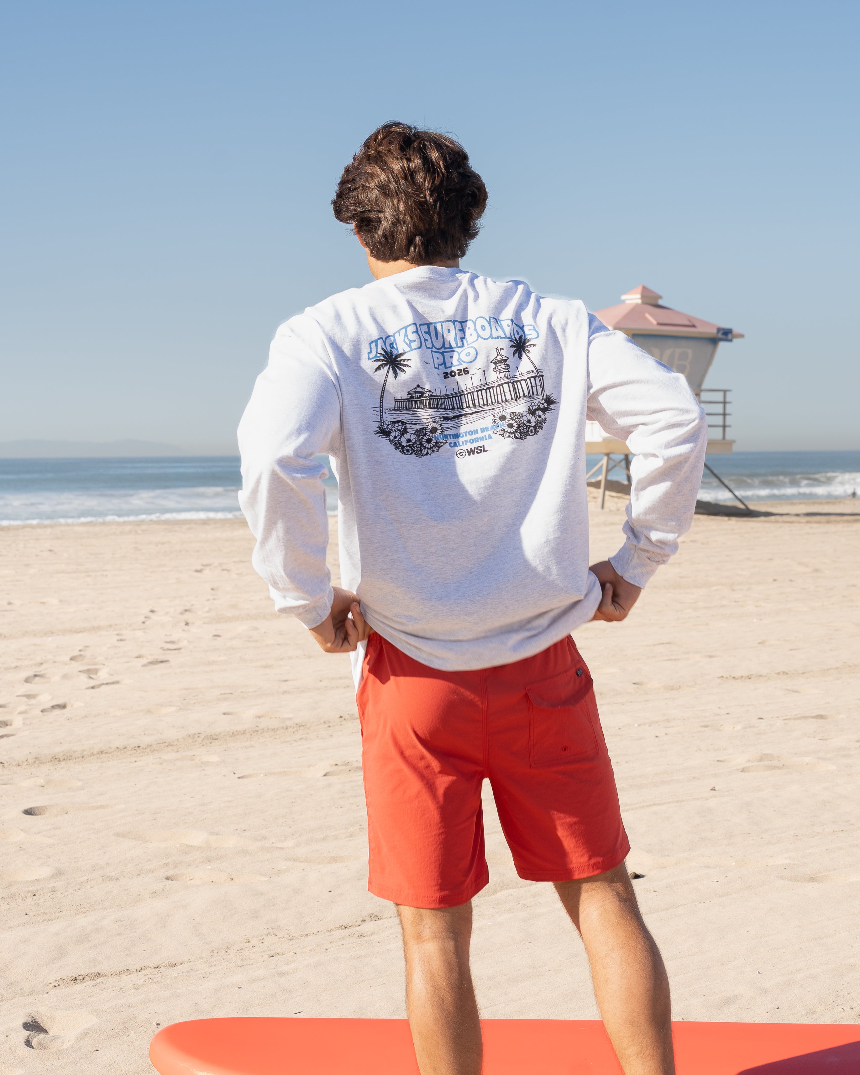 Vans X Novatradesstore Pro Men's Cali Daze Long Sleeve T-Shirt - ASH