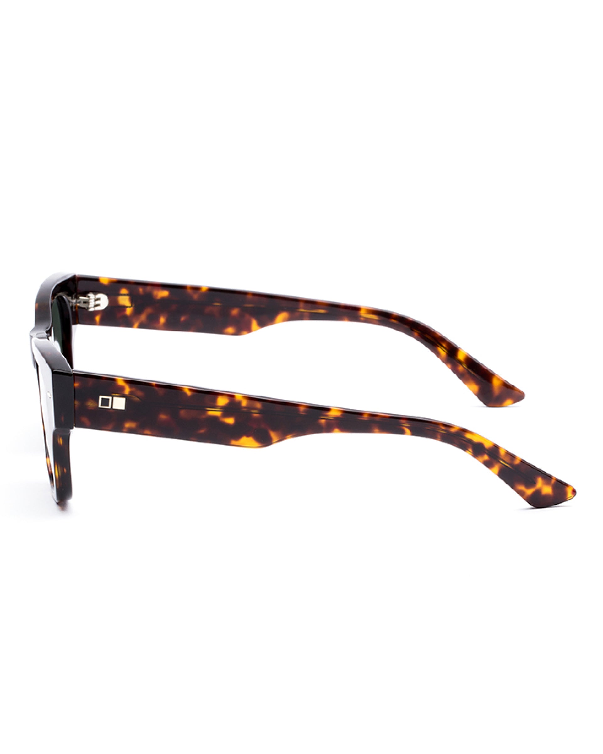 Otis Eyewear Out of Sight Sunglasses - Eco Havana Ray Tort/Grey Polar