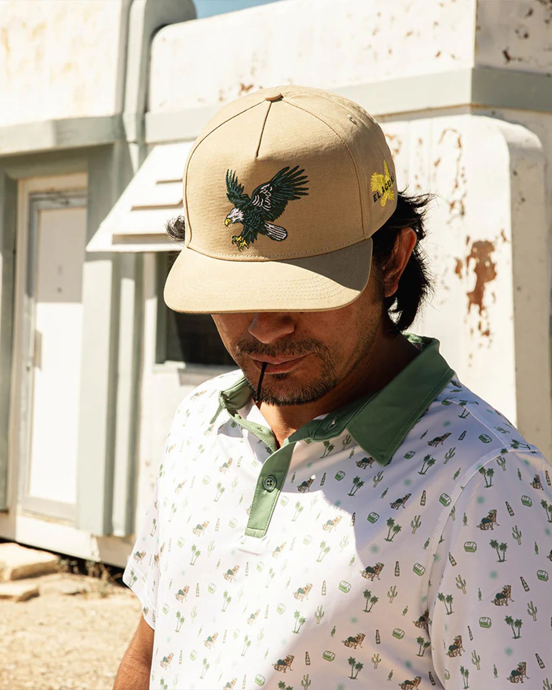 Sendero Provisions Co. Eagle Hat - Tan