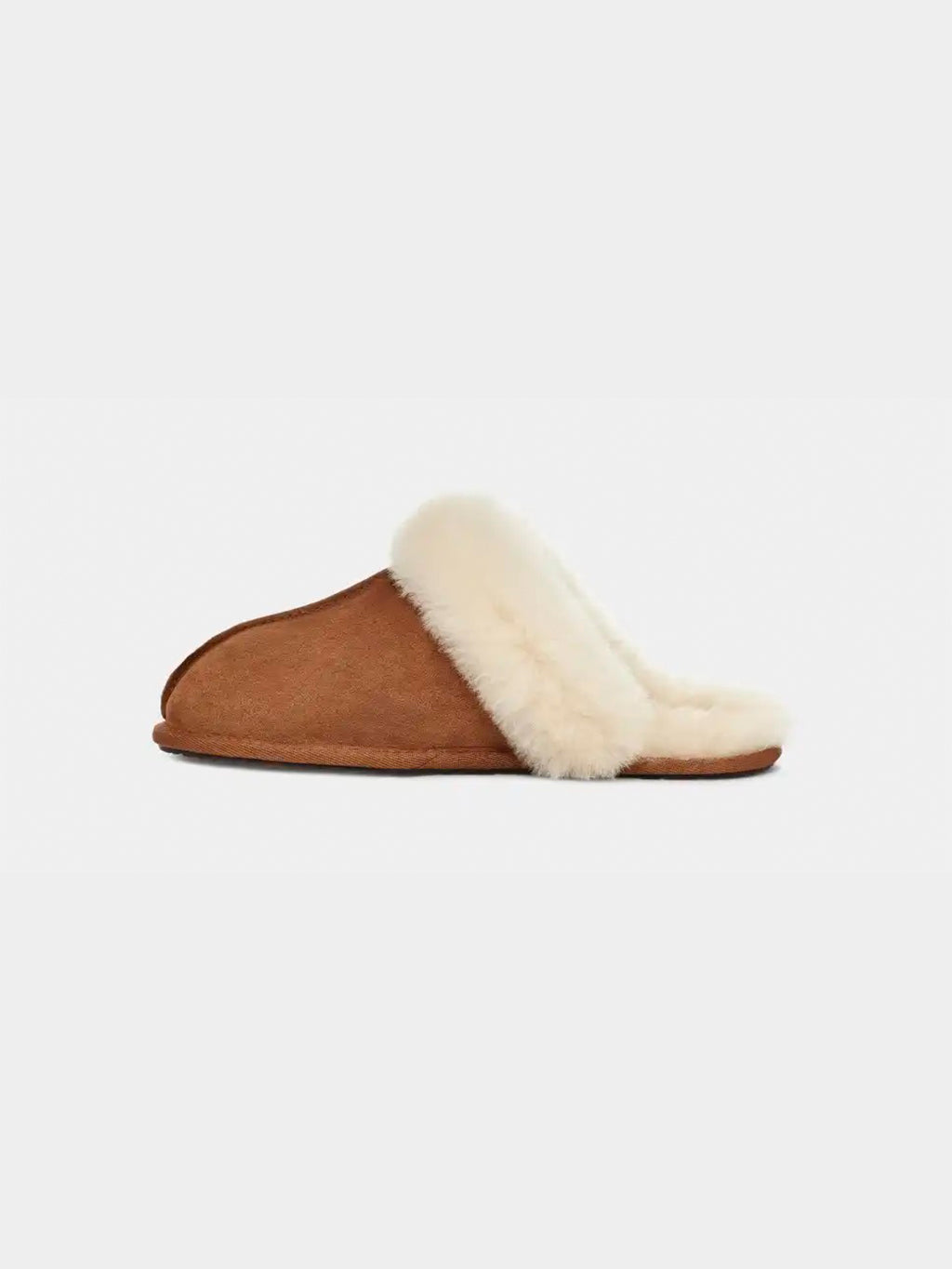 Scuffette II Slipper